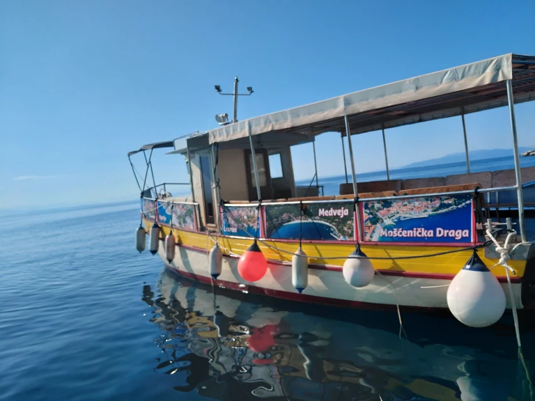 Custom Passanger de alquiler a Opatija