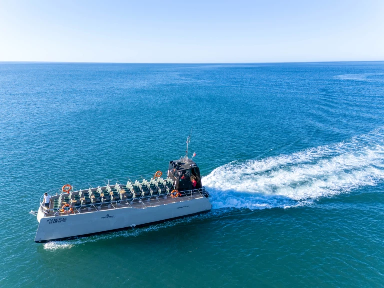 Alquiler Catamarán drassanes con o sin  título de navegación