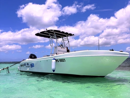 Alquiler de embarcaciones Forboat 23' enPointe-à-Pitre en Samboat