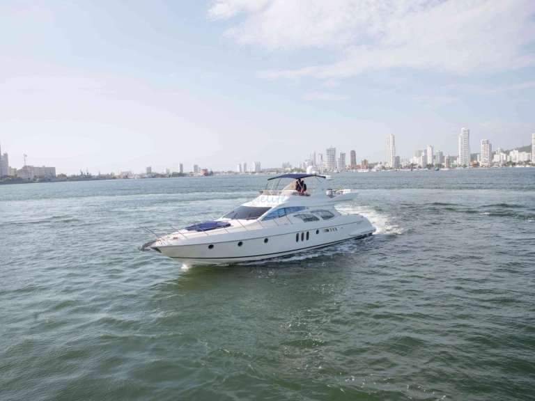 Alquiler Catamarán Custom Made con o sin  título de navegación