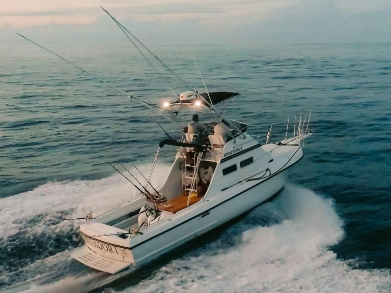 Custom Made custom de alquiler a Cabo San Lucas