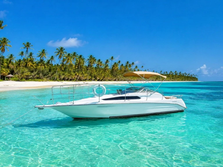 Alquiler de Custom Made custom en Punta Cana