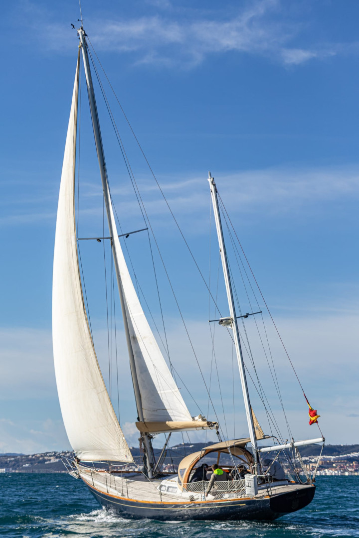 Lady Antonia