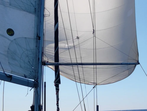 Alquiler de Velero, con o sin patrón Edel Milazzo
