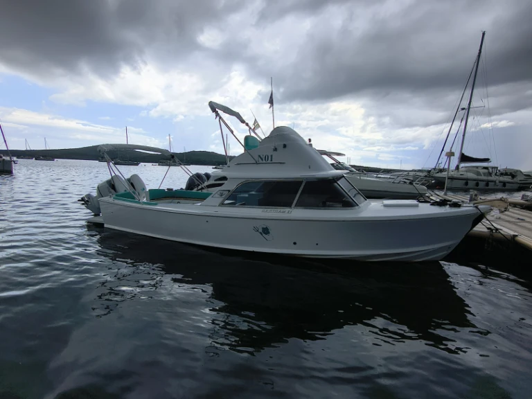 Alquiler Lancha en Porto Pozzo - Bertram 31