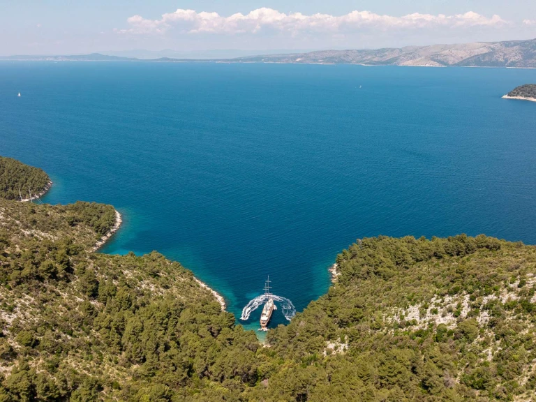 Alquiler de Custom Dalmatino en Croacia