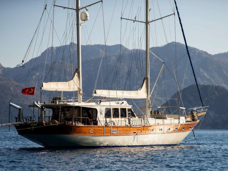Alquiler de Yate de lujo, con o sin patrón Tuzla Bodrum