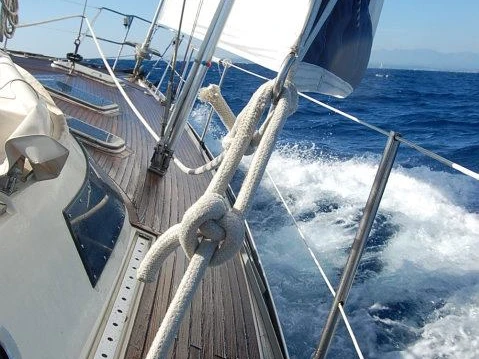 Alquiler de Velero, con o sin patrón Comar Nettuno