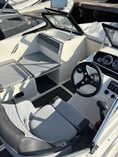Alquiler Lancha Bayliner con o sin  título de navegación