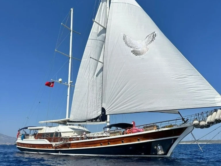 Alquiler Velero Custom Made con o sin  título de navegación