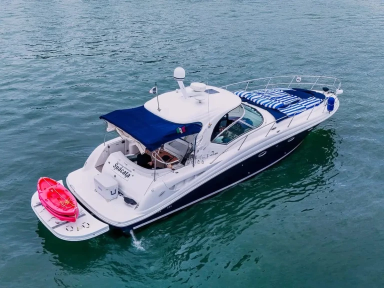 Lancha para alquilar Puerto Vallarta al mejor precio