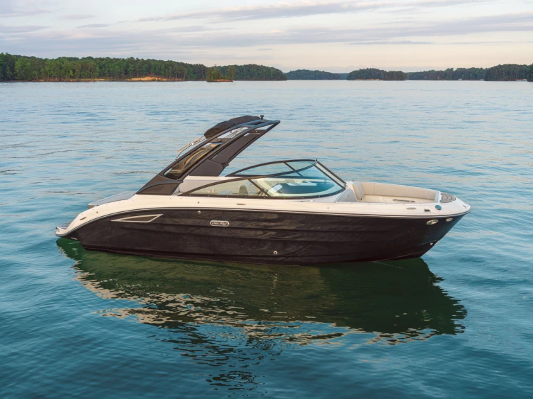 Sea Ray  250 sdx de alquiler a Port d'Arcachon