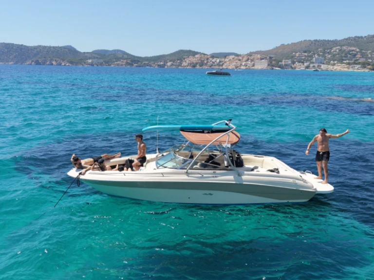 Alquiler de Sea Ray Sea Ray 260 en Santa Ponsa