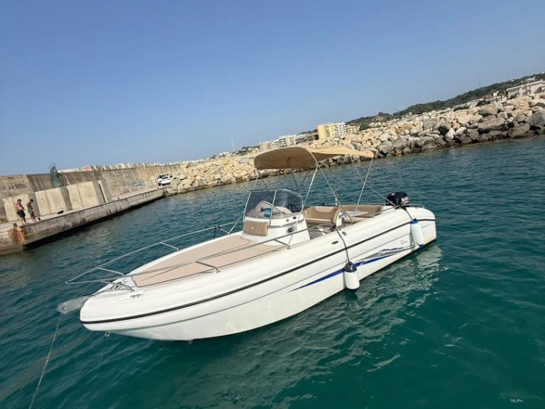 Ranieri Shadow 24 S de alquiler a Italia
