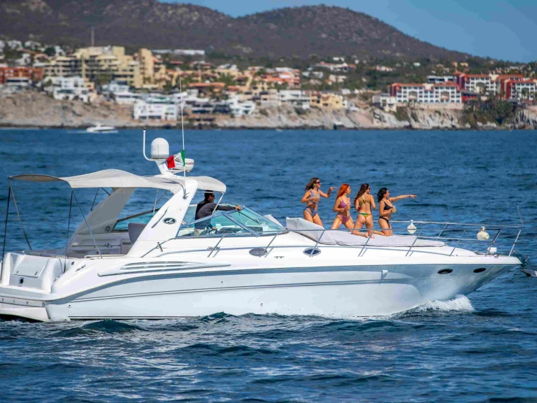 Alquiler Lancha en Cabo San Lucas - Sea Ray Sea Ray 420 Sundancer