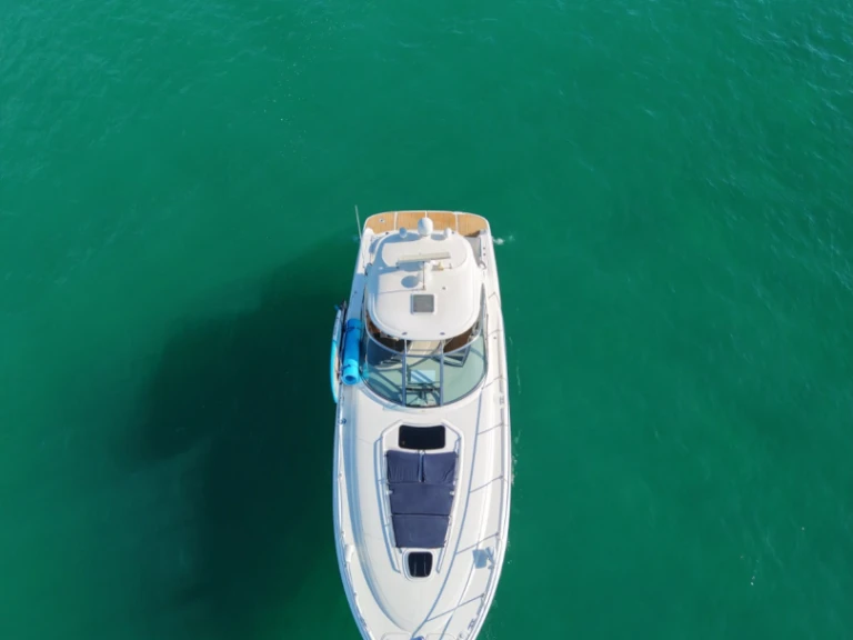 Sea Ray Sea Ray 455 Sundancer de alquiler a Cabo San Lucas