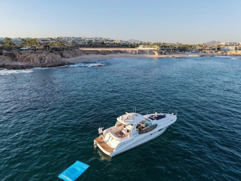 Alquiler Lancha en Cabo San Lucas - Sea Ray Sea Ray 455 Sundancer