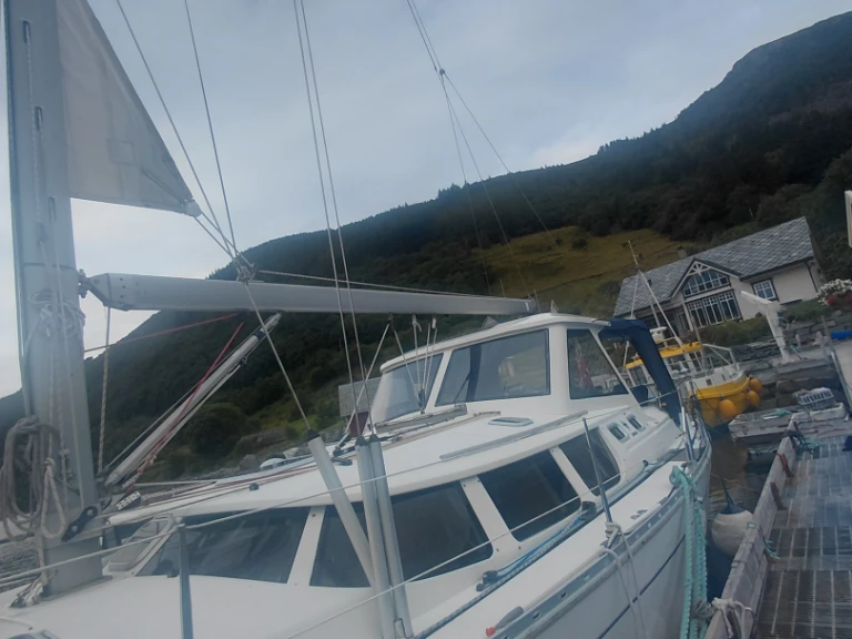 Alquiler Velero en Selje - Jeanneau Sun odyssée 43 DS