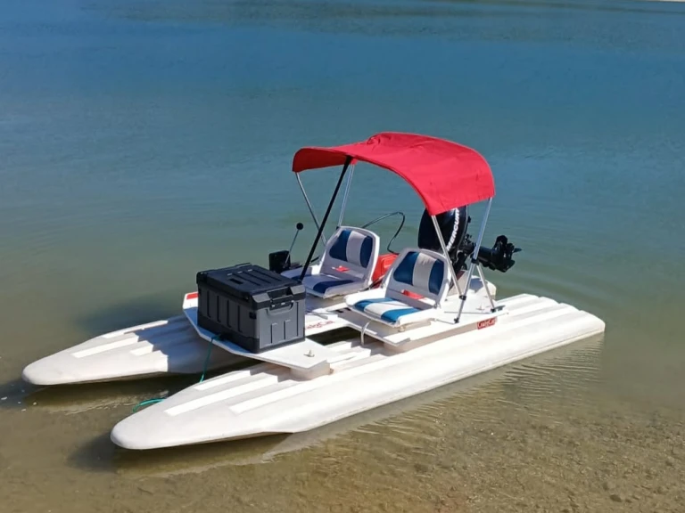 Alquiler de embarcaciones Craig Cat E2 ELITE enPont-de-Poitte en Samboat