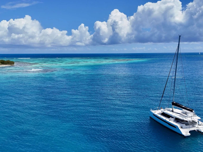 Alquiler Tortola - Leopard RESILIENCE en SamBoat