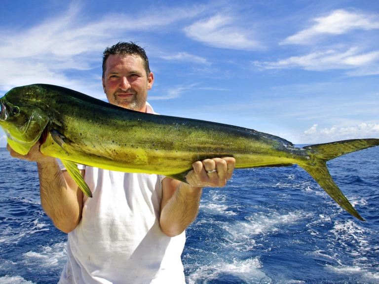 Alquiler Puerto Rico - Custom Made custom en SamBoat