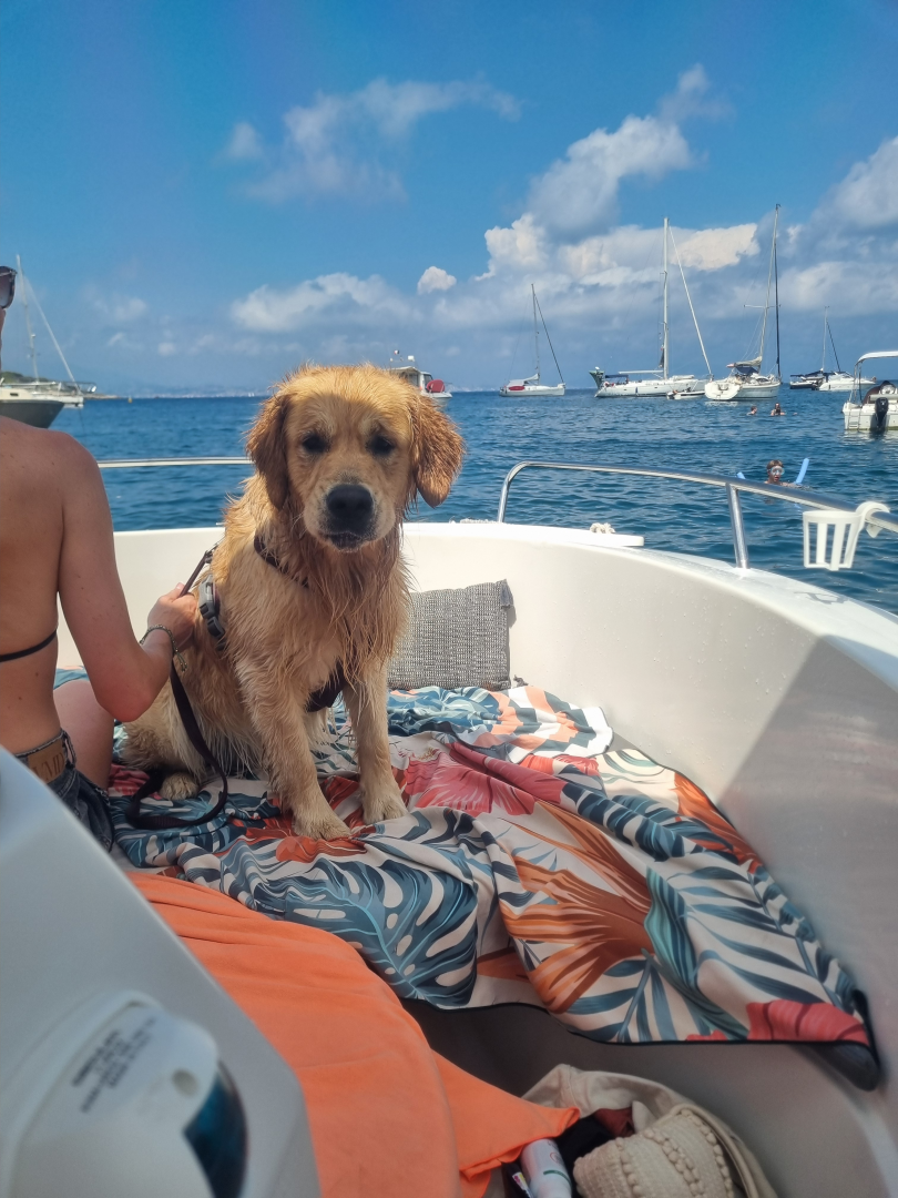 Pacific Craft Pacific Craft 545 Open de alquiler a Saint-Laurent-du-Var