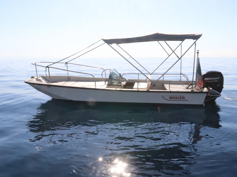 Alquiler de embarcaciones Boston Whaler Boston Whaler 17 enRiposto en Samboat