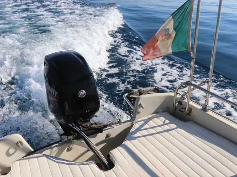 Alquiler Lancha Boston Whaler con o sin  título de navegación