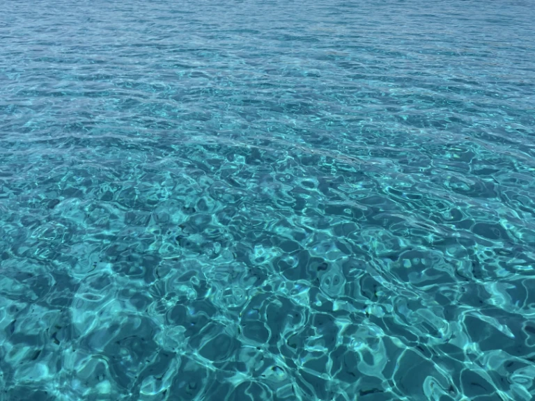 Alquiler Velero Grand Soleil con o sin  título de navegación