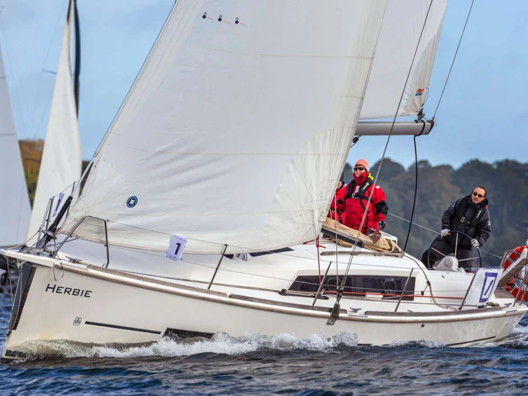 Alquiler Velero Dufour con o sin  título de navegación