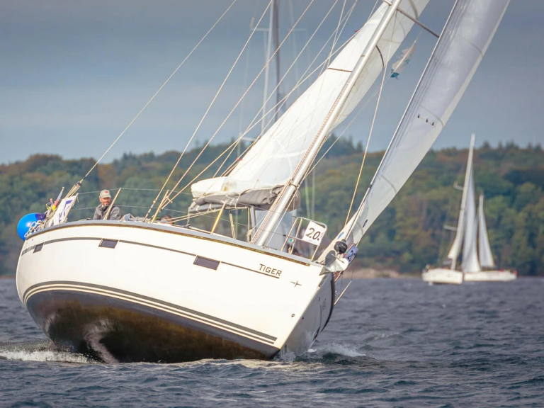 Alquiler de embarcaciones Bavaria Cruiser 37 enFlensburg en Samboat