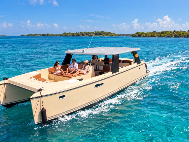 Alquiler Catamarán Custom Made con o sin  título de navegación