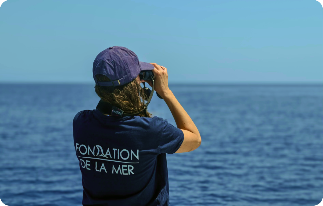 La Fondation de la Mer